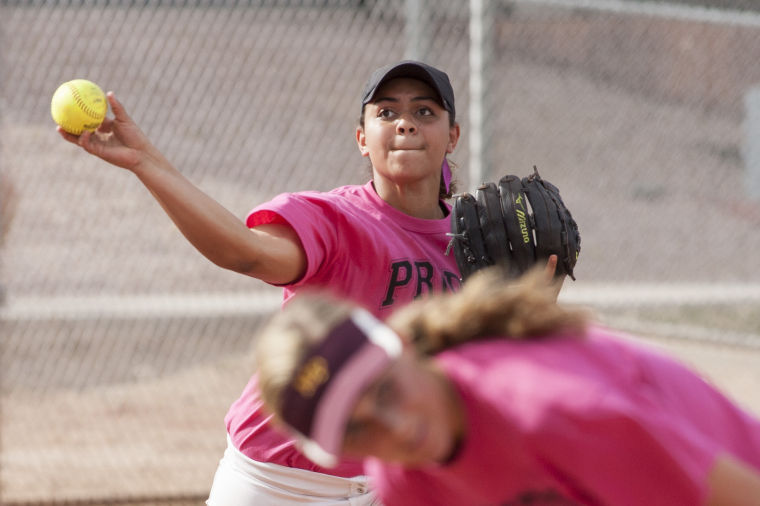 Softball: MP vs DV